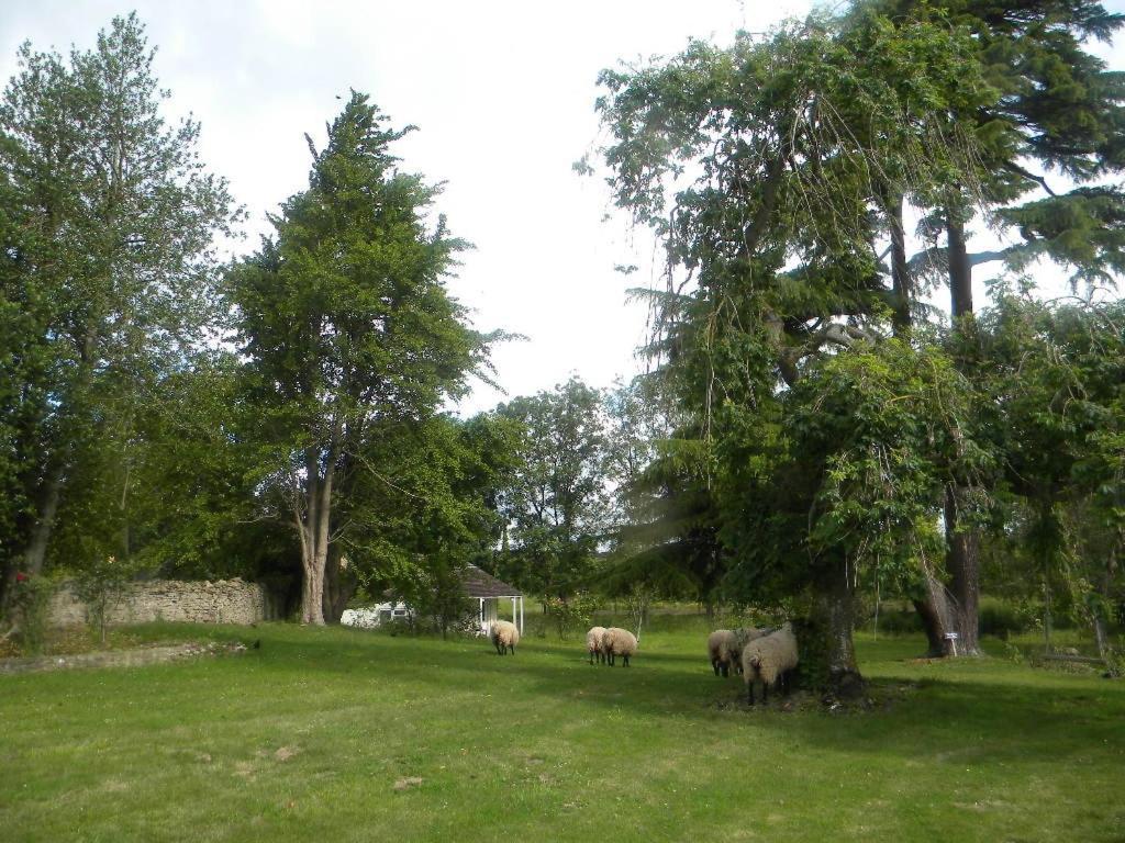 The House Near Bath Hotel Woolverton Exterior photo